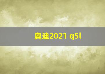 奥迪2021 q5l